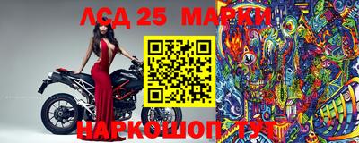 PSILOCYBIN Баксан