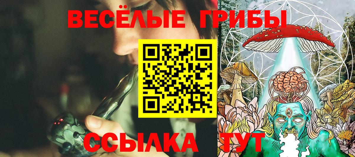 Ивантеевка  Псилоцибиновые грибы Cubensis  Вход с VPN  Галлюциногенные грибы Psilocybine cubensis 